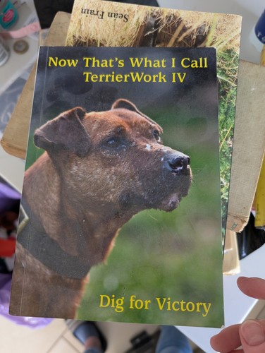 Now that what call terrier - what,