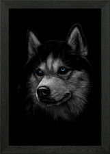 siberian husky Framed Wall Art