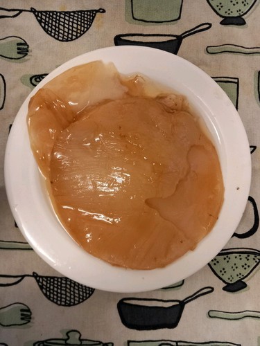 Organic 40g kombucha scoby - organic,
