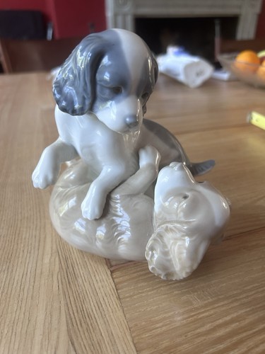 Nao lladro figurine twerp - by,