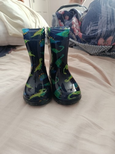 Boys dinosaur wellies - dinosaur,