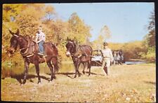 Ohio Cheasapeake Canal Mule