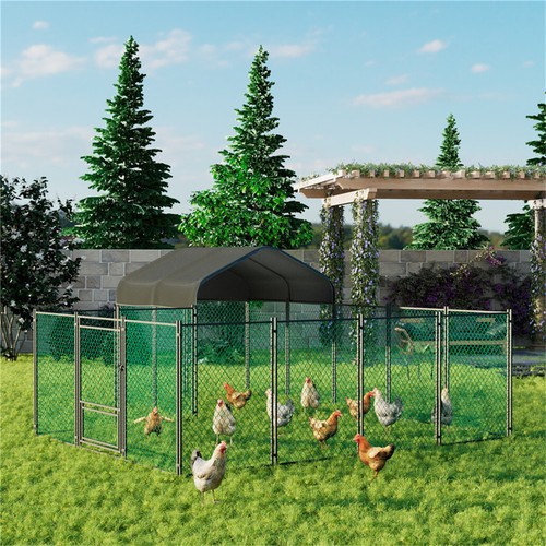 10m metal chicken coop hen - chicken,