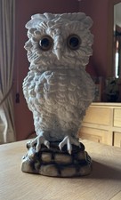 Meissen Ceramic White Owl Oil