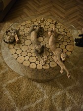 Country Artists Breed apart