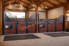 Horse Internal stable Stunning