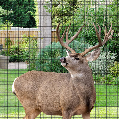 Plastic garden fence - garden, mesh