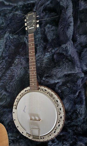 Framus banjo string - 6, original