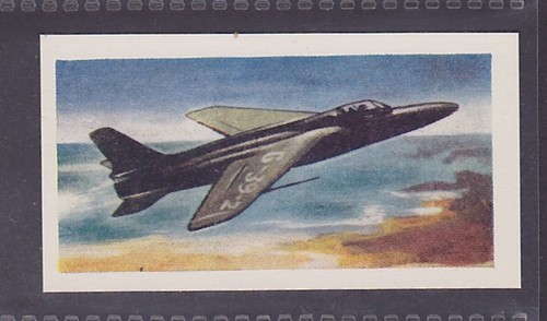 Folland gnat year old - gnat, 60