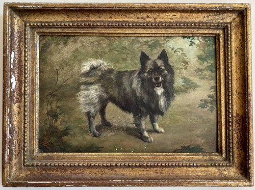 Antique victorian spitz - antique, dog