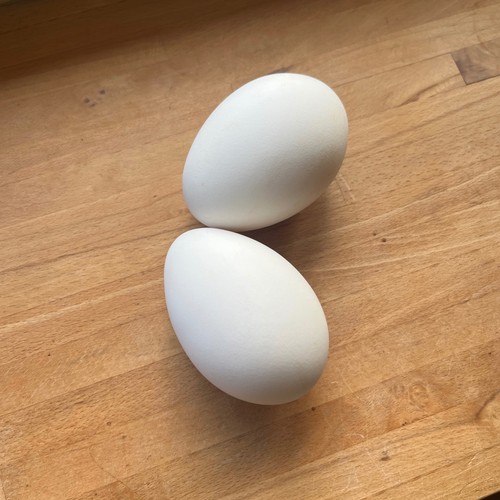 Blown goose eggs - 🪿2, ,