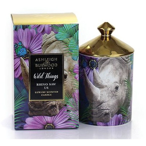 Ashleigh burwood wild - &, things