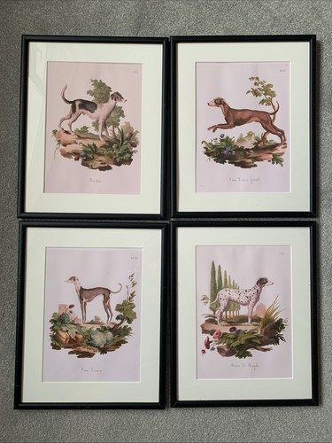 Set framed greyhound - of,