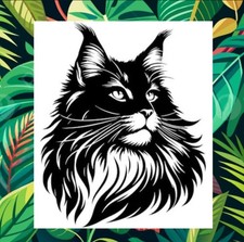 Beautiful Maine Coon Cat