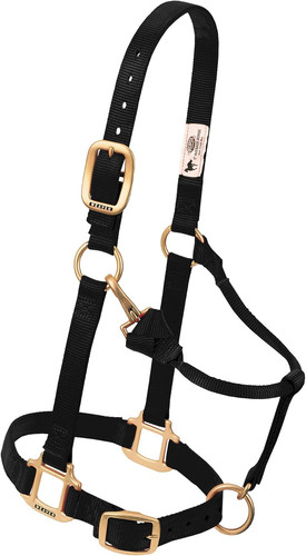 Nylon miniature horse - nylon,