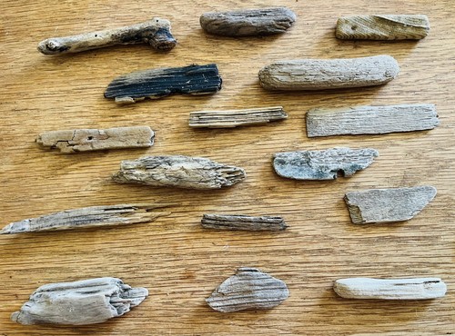 Driftwood pieces weathered - 16,