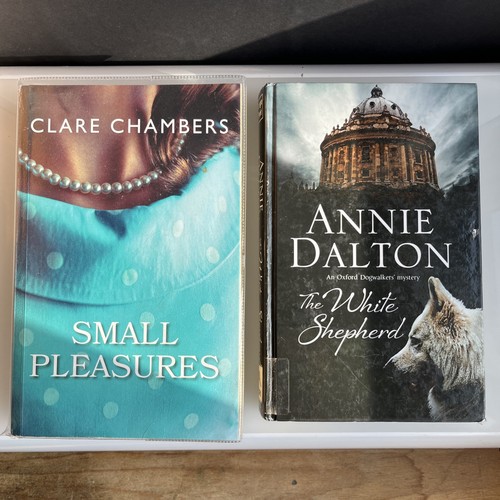 Large print small pleasures - small,