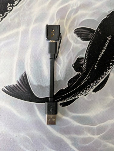 Original genuine jaybird - jaybird, &