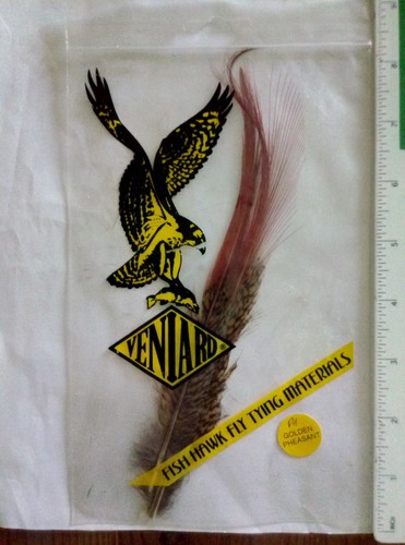 Golden pheasant feathers - pheasant,