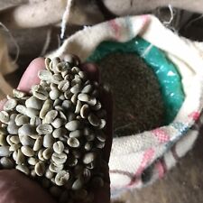 Colombia Organic RFA Green/Raw Arabica Coffee Beans For Home Roasting SCA 85