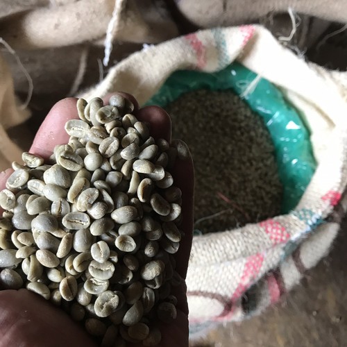 Colombia organic rfa green - colombia,