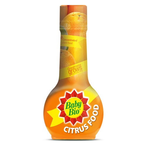 Citrus food 175ml - citrus, plant