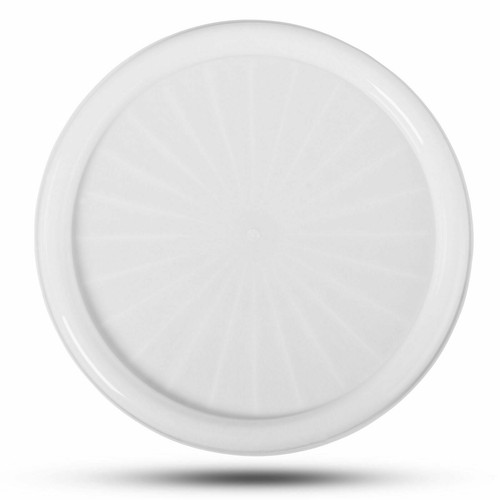 Microwave pizza tray - pizza, plate