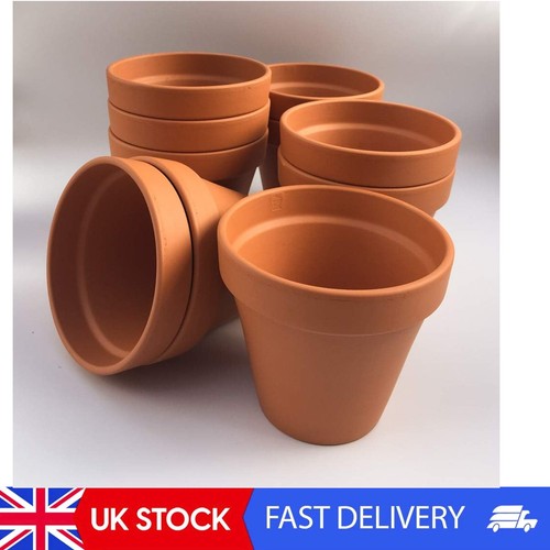 F13 small terracotta plant - [f13],