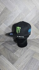 Ken block ford Monster Energy
