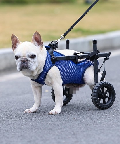 Adjustable dog wheelchair for - adjustable,