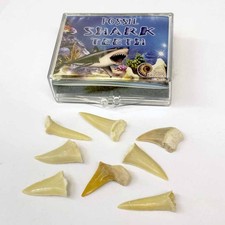 Children's Mini Shark Teeth