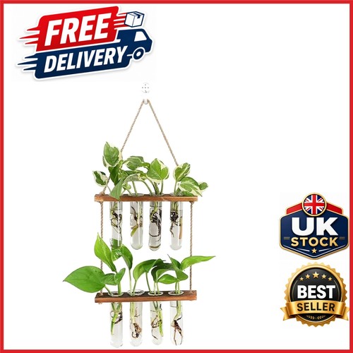 Glass planter tube vase - glass,
