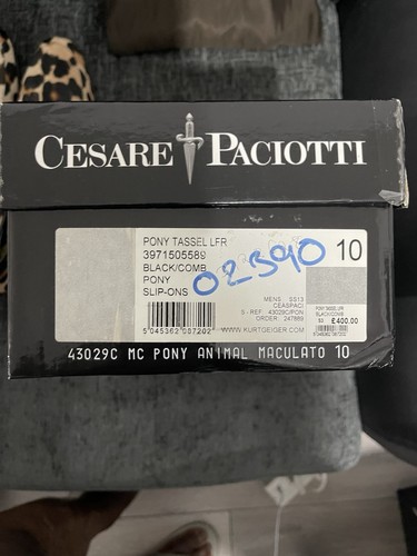 Cesare paciotti men - paciotti, men's