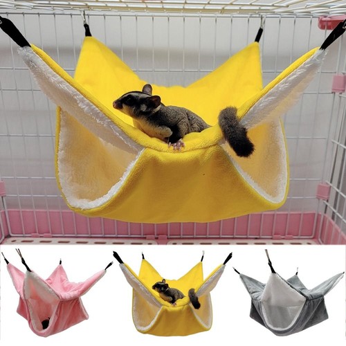 Pet ferret rat squirrel bird - squirrel,