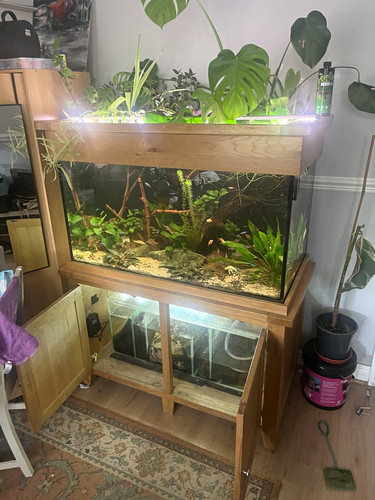 Aquaoak 340l glass oak - aquaoak,