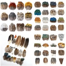 Natural Feathers Pheasant Chicken Rooster Trimmings Craft Costume Decorative UK
