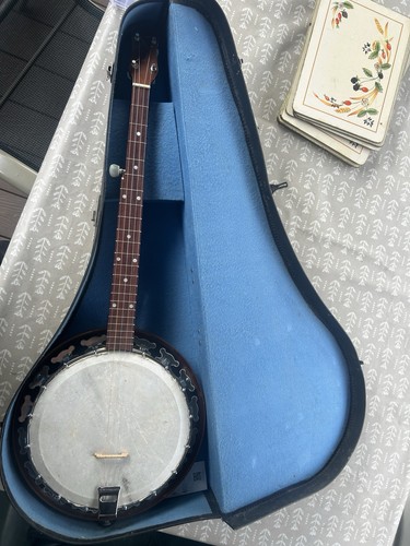 String banjo hard case - string,