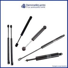 2 SHOCKS - GAS SPRINGS REAR