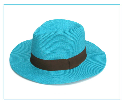Panama blue summer hat - summer,