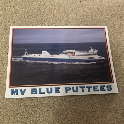 Blue puttees official - blue,