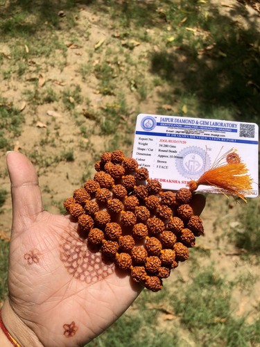 Lab certified mukhi - lab, 5