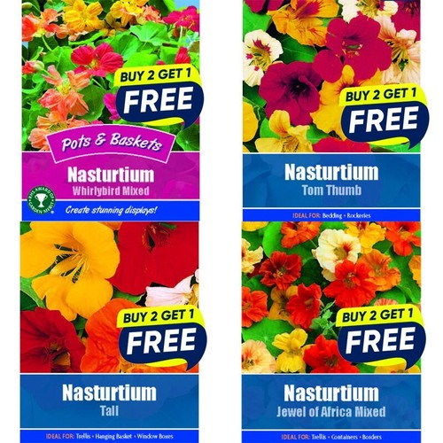 Flower seeds plants - flower,
