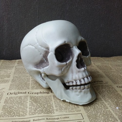 Halloween skull prop - halloween, realistic