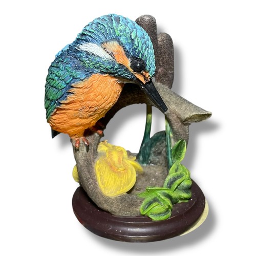 The country bird - country,