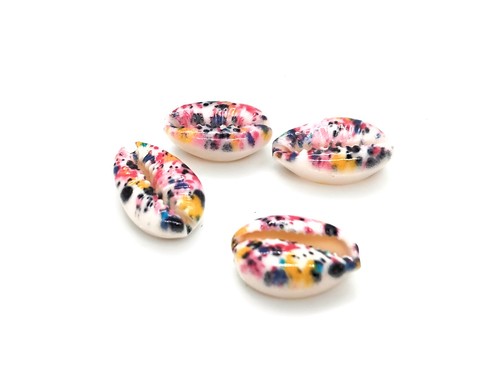 Cowrie shell multicolour - shell,