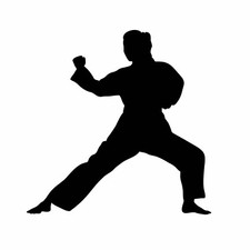 Car Sticker Karate Girl Woman