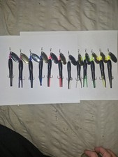 12 X Flying C spinners Genies