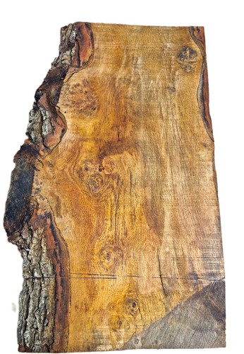 English oak live edge - live, slab