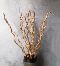 Dried Curly Willow Branches