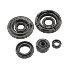 BRONCO ENGINE OIL SEAL SET